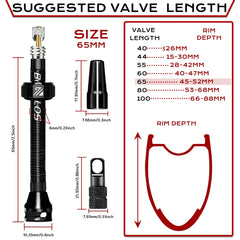 BUCKLOS tubeless valve 2pc