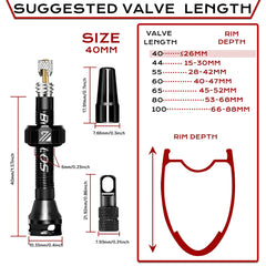 BUCKLOS tubeless valve 2pc