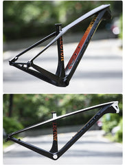 LEXON Lector MTB T1000 Carbon Frame