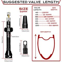 BUCKLOS tubeless valve 2pc