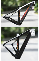 LEXON Lector MTB T1000 Carbon Frame