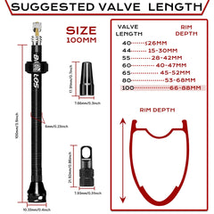 BUCKLOS tubeless valve 2pc